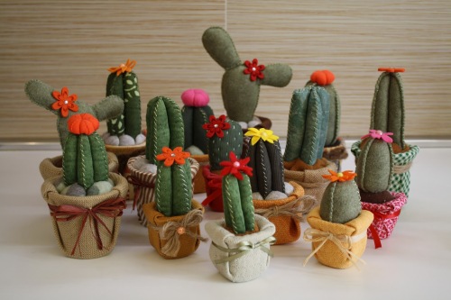 Cactus-Feltro